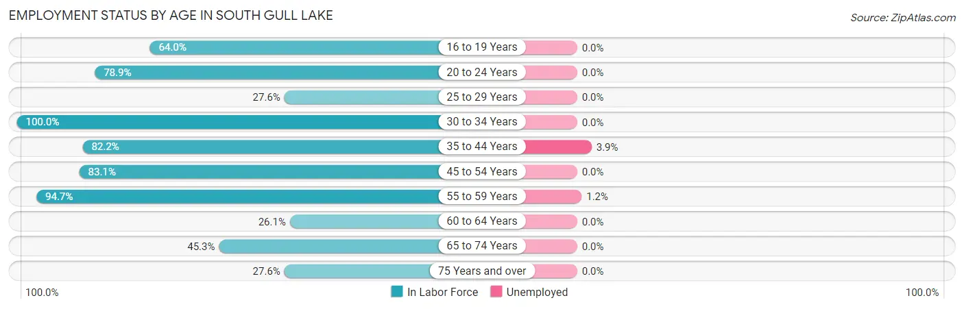Employment Status by Age in South Gull Lake