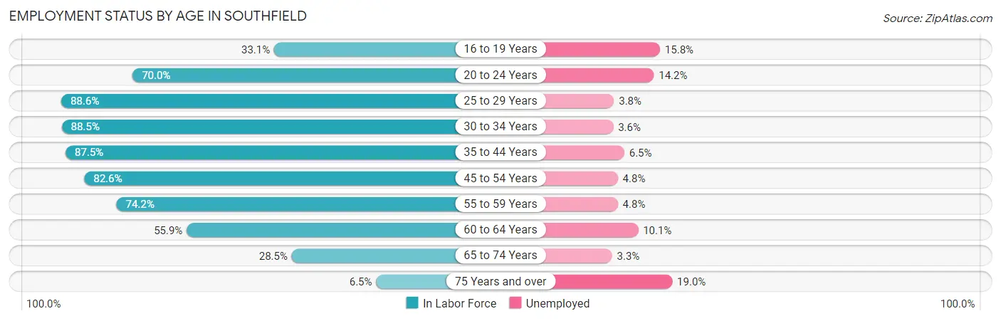 Employment Status by Age in Southfield