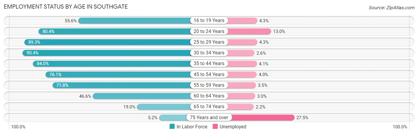Employment Status by Age in Southgate