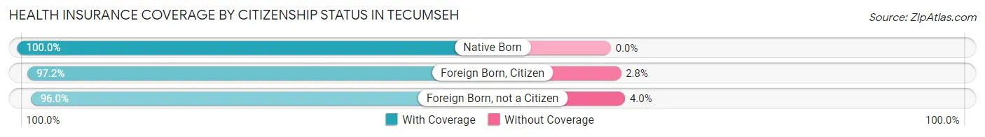 Health Insurance Coverage by Citizenship Status in Tecumseh