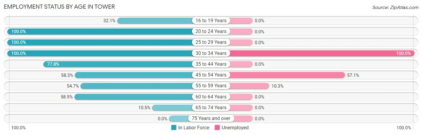 Employment Status by Age in Tower