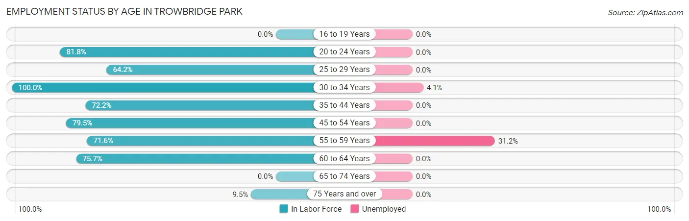 Employment Status by Age in Trowbridge Park