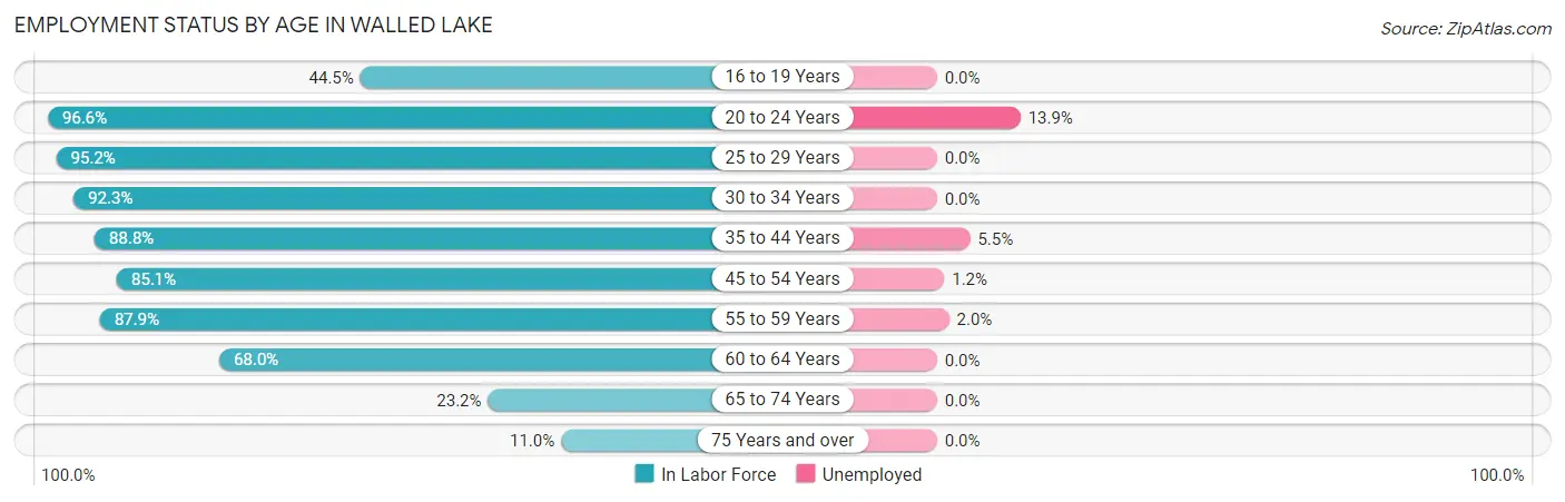 Employment Status by Age in Walled Lake