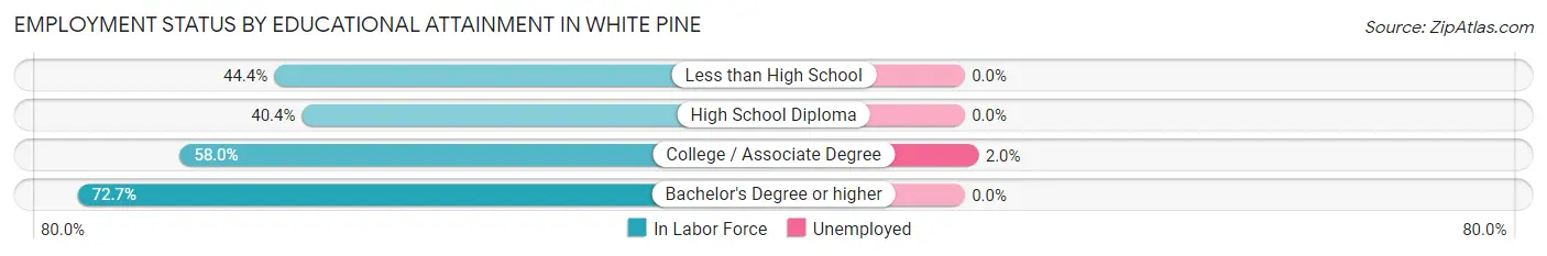 Employment Status by Educational Attainment in White Pine