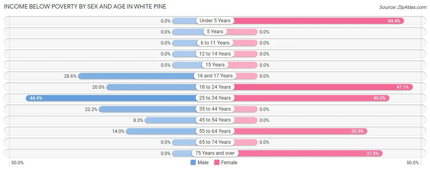 Income Below Poverty by Sex and Age in White Pine