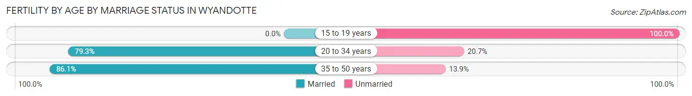 Female Fertility by Age by Marriage Status in Wyandotte