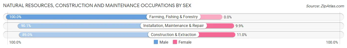 Natural Resources, Construction and Maintenance Occupations by Sex in Ypsilanti