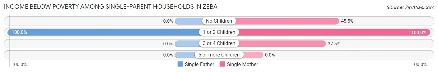 Income Below Poverty Among Single-Parent Households in Zeba