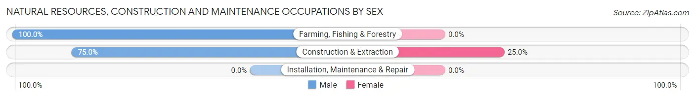 Natural Resources, Construction and Maintenance Occupations by Sex in Akeley