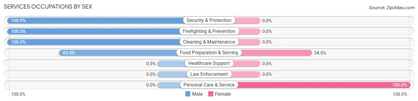 Services Occupations by Sex in Albertville