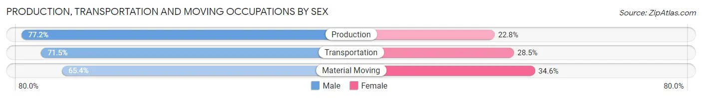 Production, Transportation and Moving Occupations by Sex in Alexandria