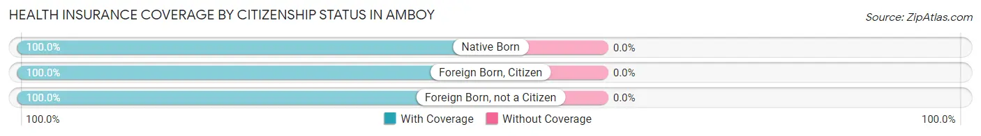 Health Insurance Coverage by Citizenship Status in Amboy