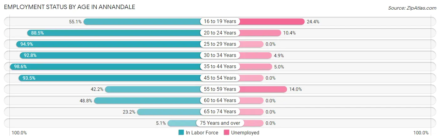 Employment Status by Age in Annandale