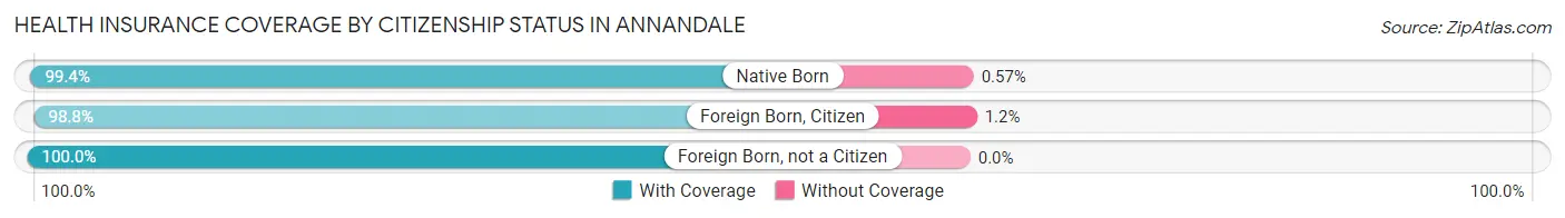Health Insurance Coverage by Citizenship Status in Annandale