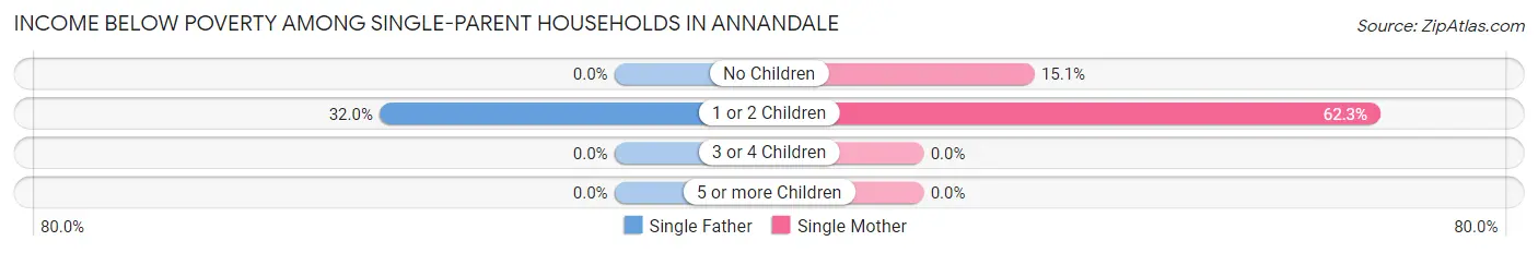 Income Below Poverty Among Single-Parent Households in Annandale