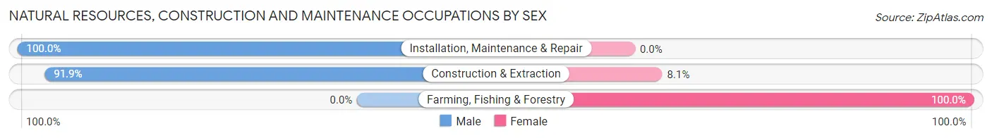 Natural Resources, Construction and Maintenance Occupations by Sex in Arden Hills