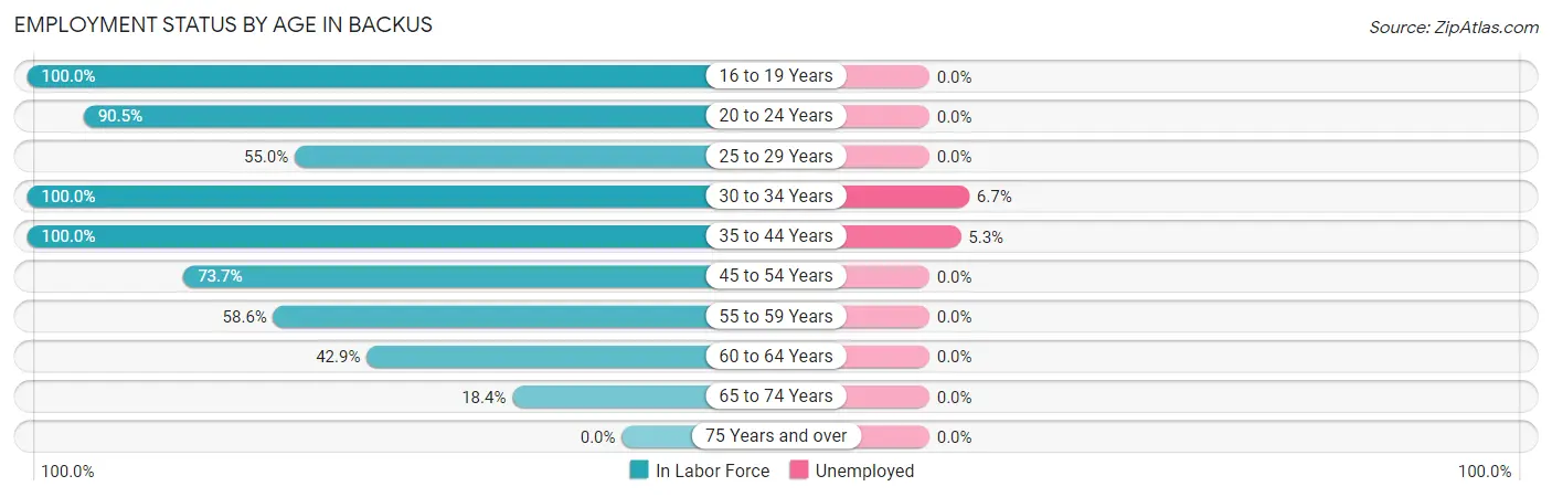 Employment Status by Age in Backus