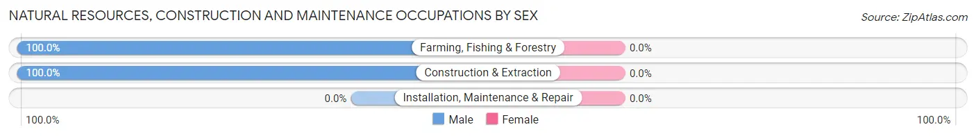 Natural Resources, Construction and Maintenance Occupations by Sex in Backus