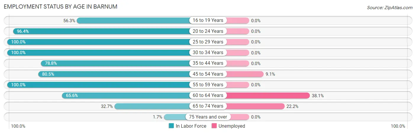Employment Status by Age in Barnum