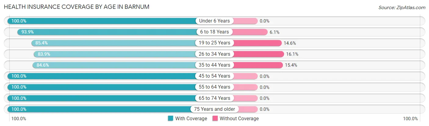 Health Insurance Coverage by Age in Barnum
