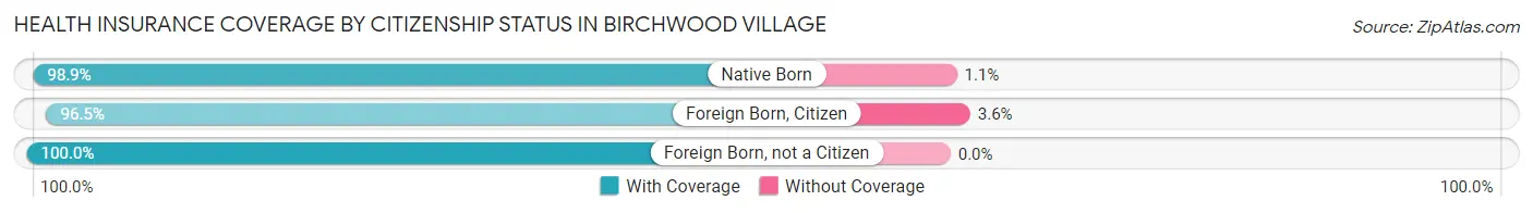 Health Insurance Coverage by Citizenship Status in Birchwood Village
