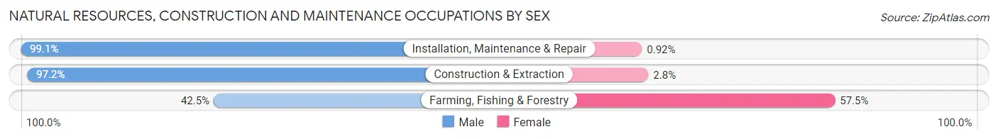 Natural Resources, Construction and Maintenance Occupations by Sex in Blaine
