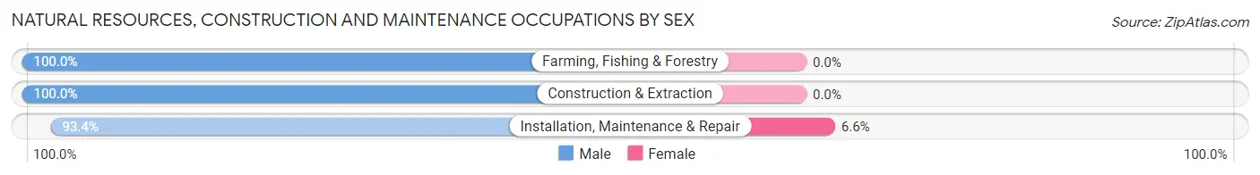 Natural Resources, Construction and Maintenance Occupations by Sex in Brooklyn Center