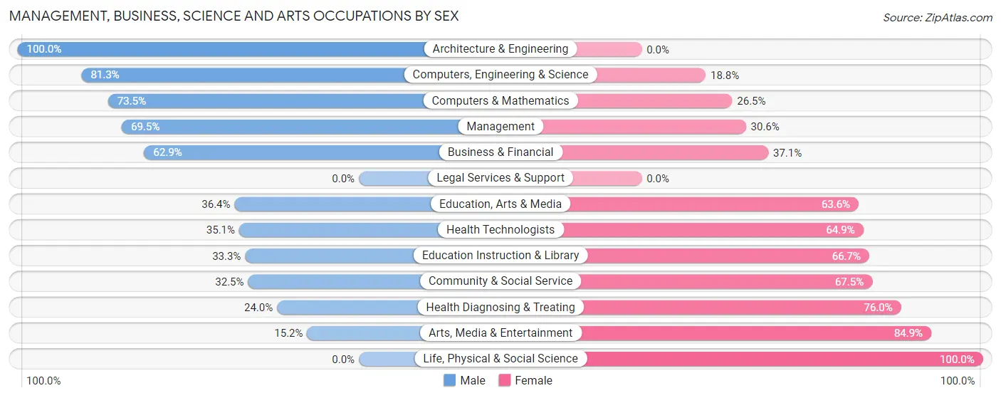 Management, Business, Science and Arts Occupations by Sex in Chisago City