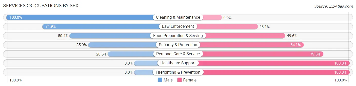 Services Occupations by Sex in Chisago City