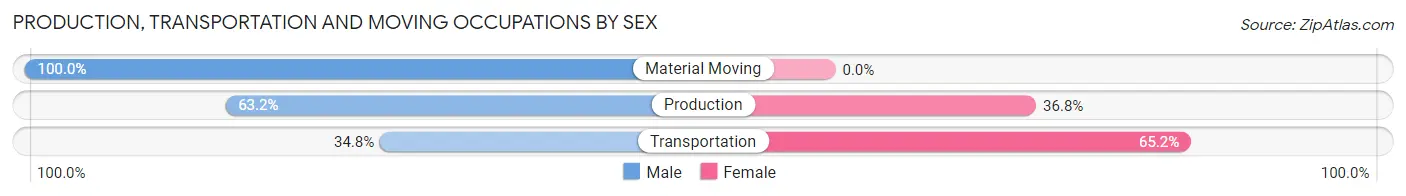 Production, Transportation and Moving Occupations by Sex in Chisholm