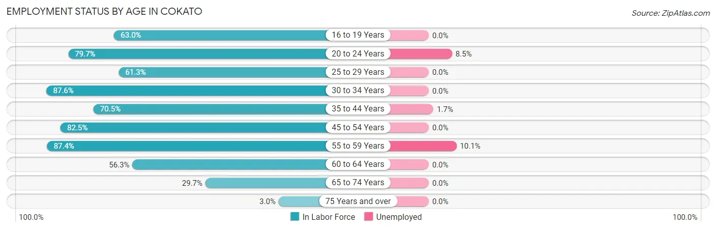 Employment Status by Age in Cokato
