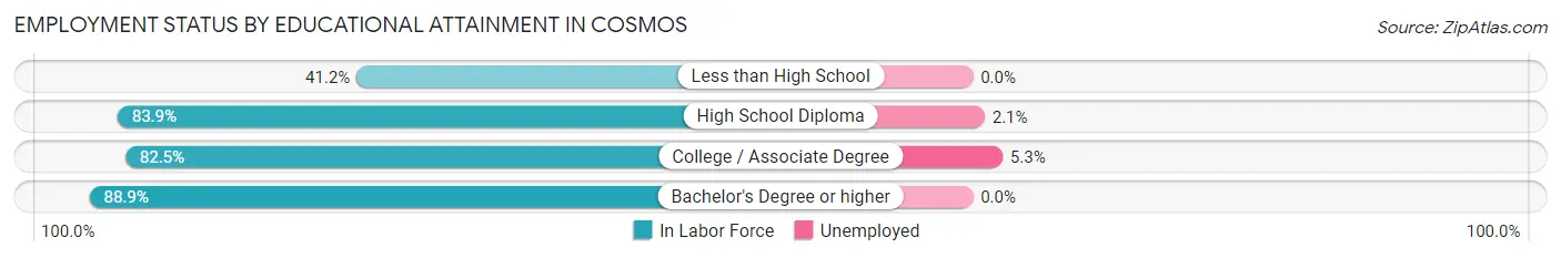 Employment Status by Educational Attainment in Cosmos