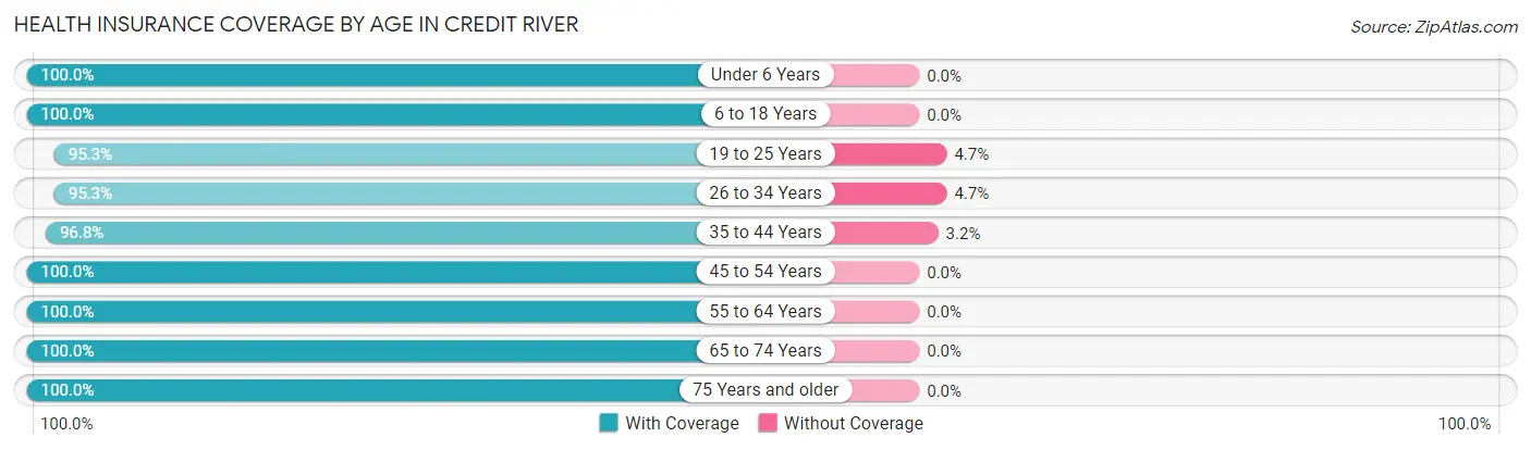 Health Insurance Coverage by Age in Credit River