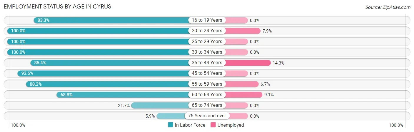 Employment Status by Age in Cyrus