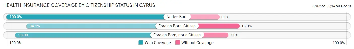 Health Insurance Coverage by Citizenship Status in Cyrus