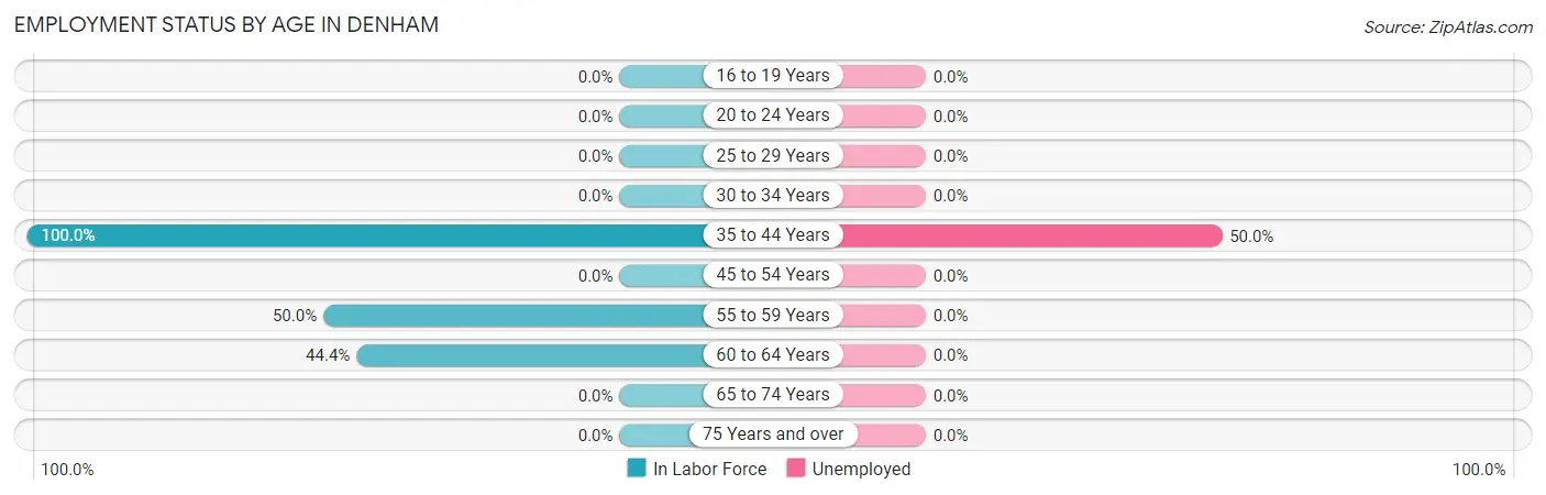 Employment Status by Age in Denham