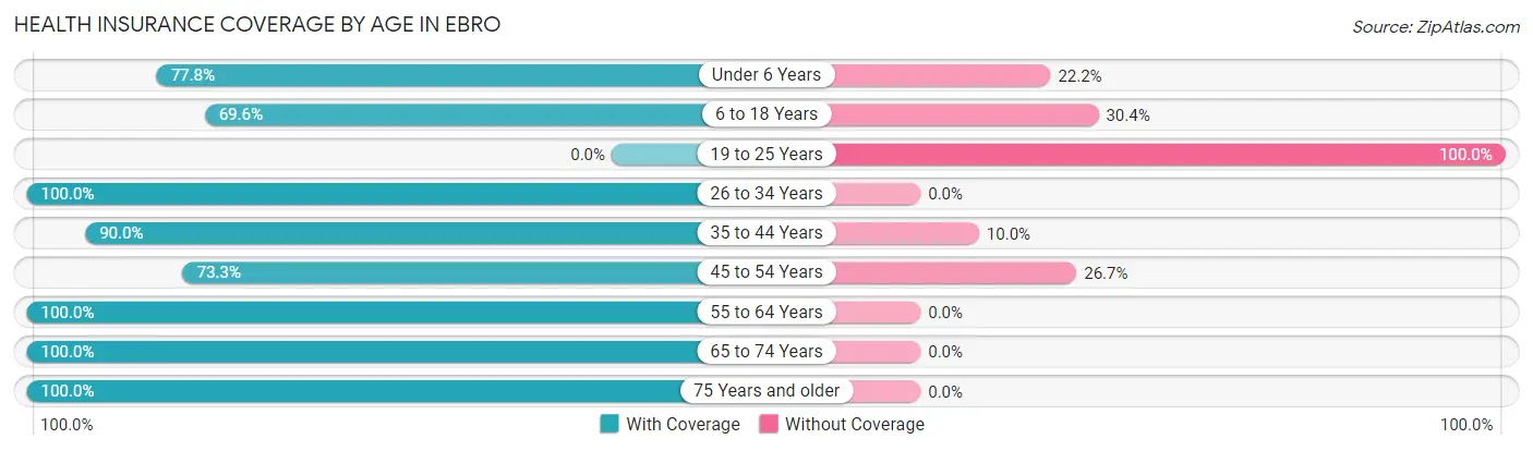 Health Insurance Coverage by Age in Ebro