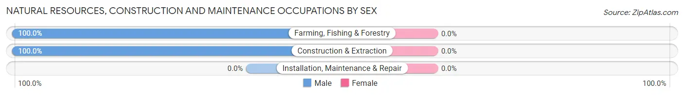 Natural Resources, Construction and Maintenance Occupations by Sex in Ebro