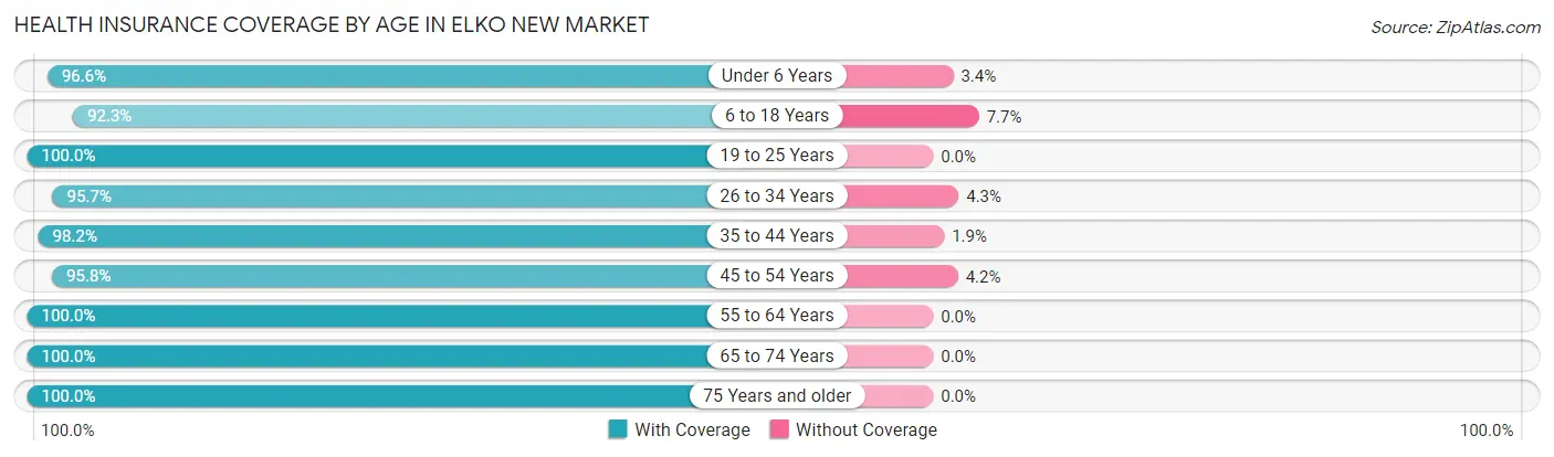 Health Insurance Coverage by Age in Elko New Market