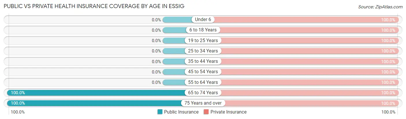 Public vs Private Health Insurance Coverage by Age in Essig