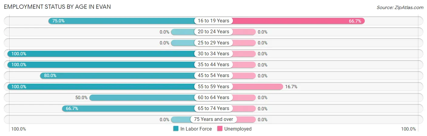 Employment Status by Age in Evan
