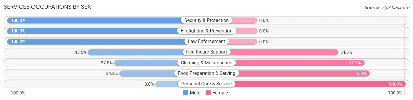 Services Occupations by Sex in Eyota