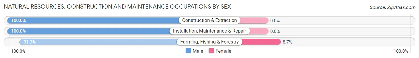Natural Resources, Construction and Maintenance Occupations by Sex in Fairfax