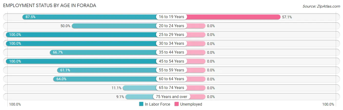 Employment Status by Age in Forada