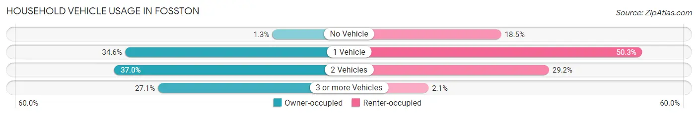 Household Vehicle Usage in Fosston