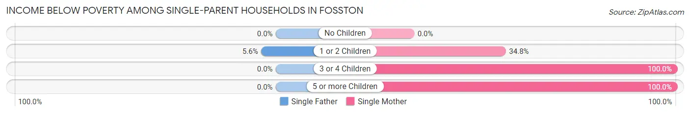 Income Below Poverty Among Single-Parent Households in Fosston
