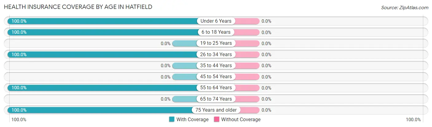 Health Insurance Coverage by Age in Hatfield