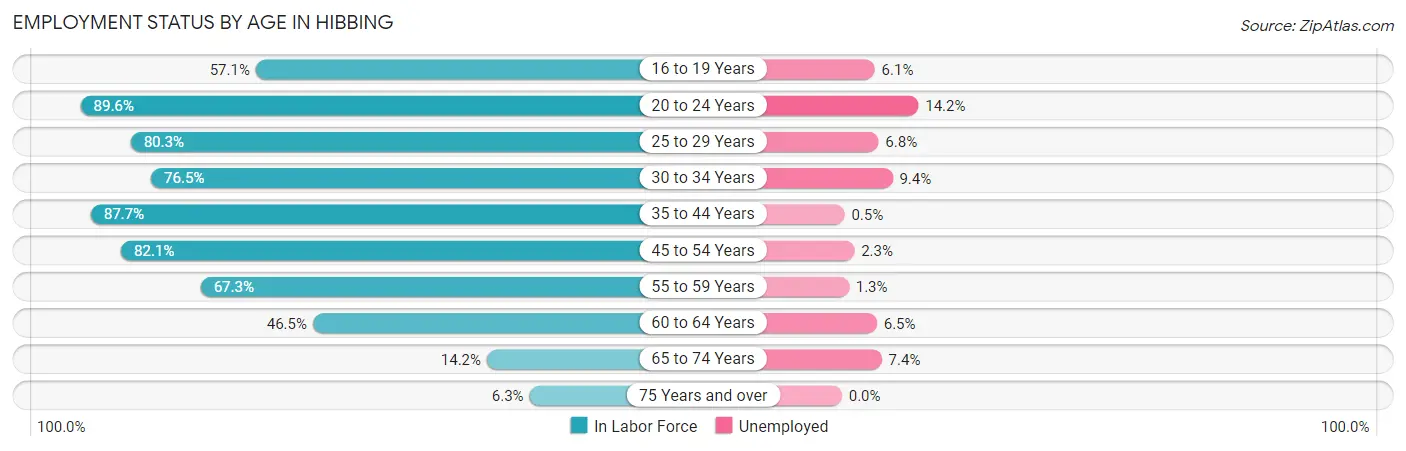 Employment Status by Age in Hibbing