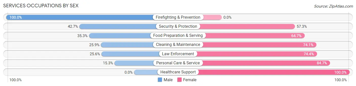 Services Occupations by Sex in Jordan