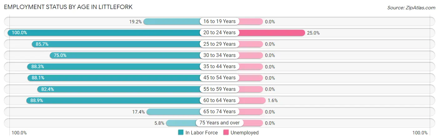 Employment Status by Age in Littlefork